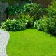 Lush garden pathway with green plants and stone stairs.